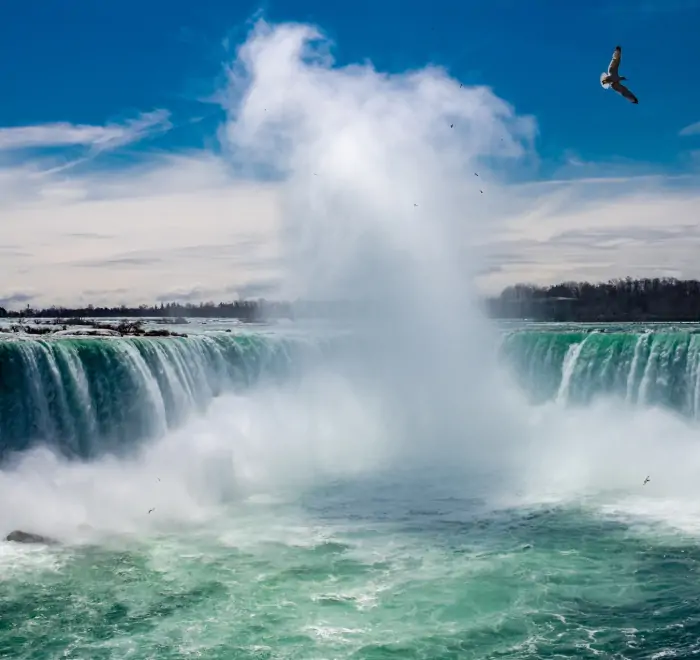 Natural Wonder