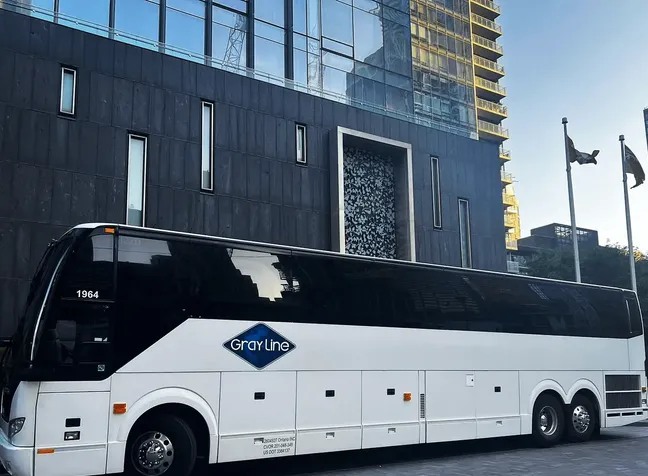 Professional Gray Line charter bus gleaming in the sunlight, showcasing our premium fleet available for corporate and group transportation